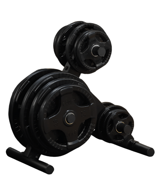 Body-Solid OWT24 Olympic Plate Tree – 6-Peg Weight Plate Storage Rack