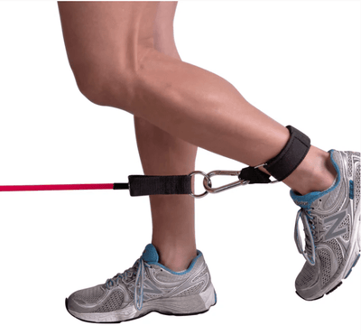 Force USA C10 Basic Adjustable Bench