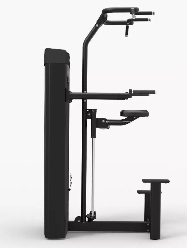 Spirit Commercial Dual Pull Up/Dip Assist