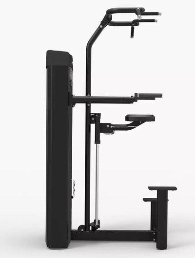 Spirit Commercial Dual Pull Up/Dip Assist