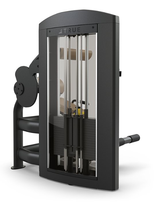 TRUE Palladium Low Back Extension – Commercial Lumbar Machine Fitness Specialist TX