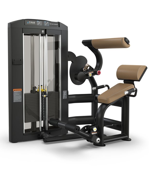 TRUE Palladium Low Back Extension – Commercial Lumbar Machine Fitness Specialist TX