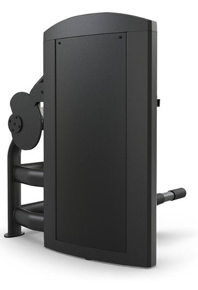 TRUE Palladium Low Back Extension – Commercial Lumbar Machine Fitness Specialist TX