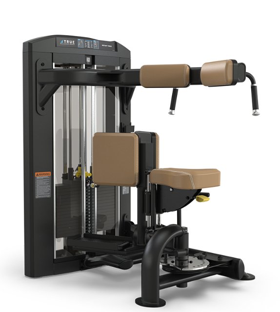 TRUE Palladium SPL-1500 Rotary Torso – Commercial Core Machine  Fitness Specialist TX