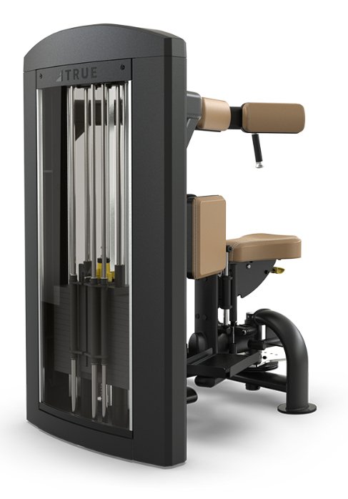 TRUE Palladium SPL-1500 Rotary Torso – Commercial Core Machine  Fitness Specialist TX