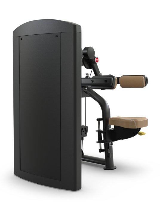 TRUE Palladium SPL-0800 Deltoid Raise – Commercial  Fitness Specialist
