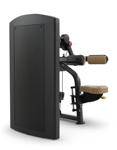 TRUE Palladium SPL-0800 Deltoid Raise – Commercial  Fitness Specialist