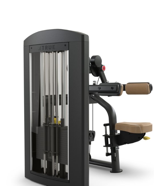 TRUE Palladium SPL-0800 Deltoid Raise – Commercial  Fitness Specialist