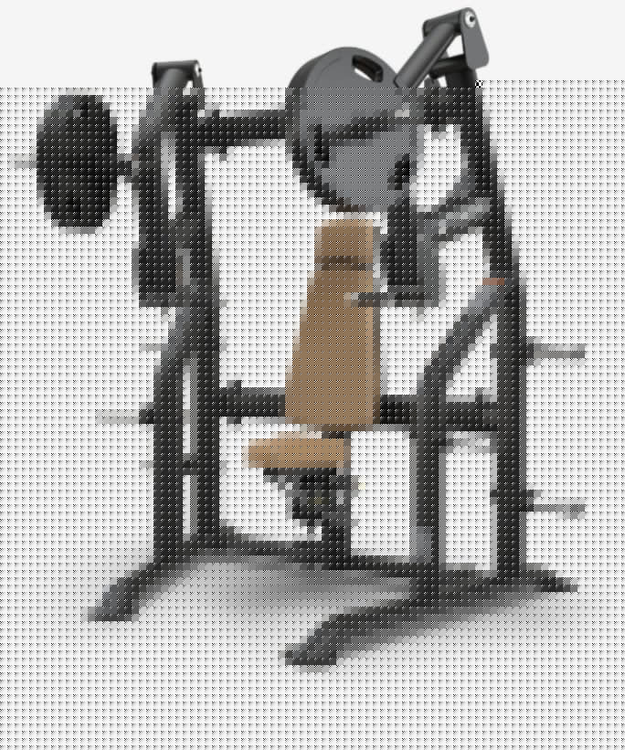 True Palladium Plate Load Chest Press