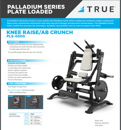 True Palladium Plate Load Knee Raise/ Ab Crunch