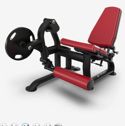 True Palladium Plate Load Leg Extension