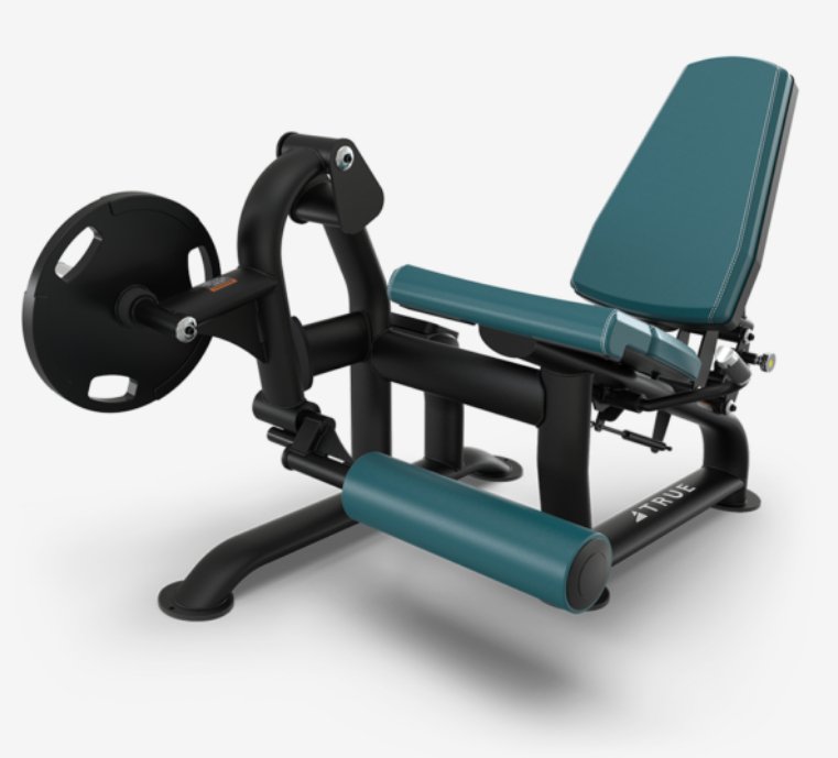 True Palladium Plate Load Tricep Extension