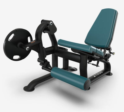 True Palladium Plate Load Tricep Extension
