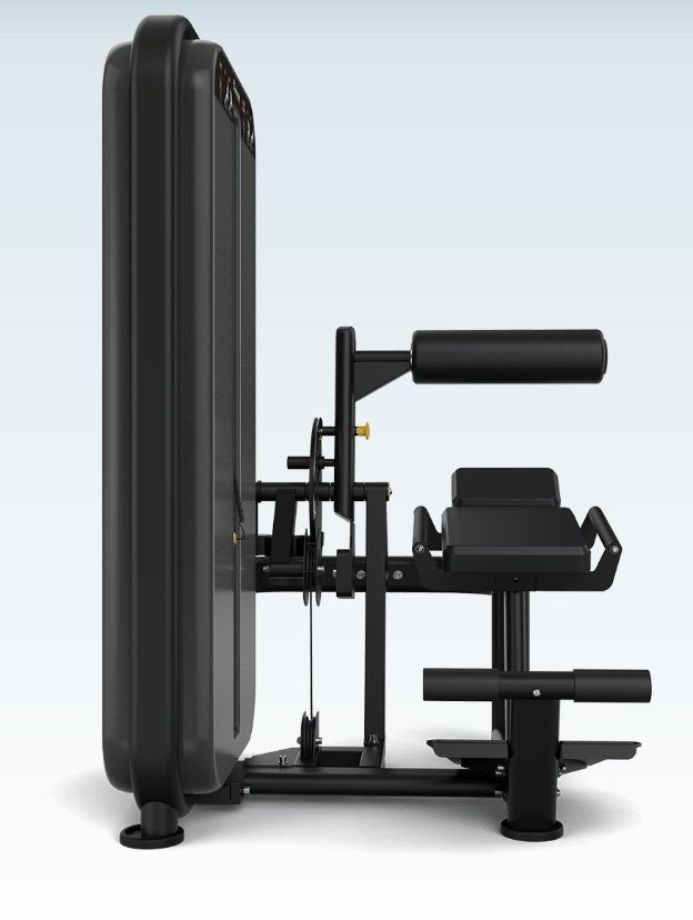 Vision VST600-S531 Ab / Low Back – Dual Core Strength Machine for Commercial Gyms | Fitness Specialist TX
