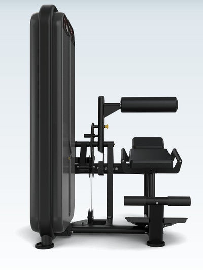 Vision VST600-S531 Ab / Low Back – Dual Core Strength Machine for Commercial Gyms | Fitness Specialist TX