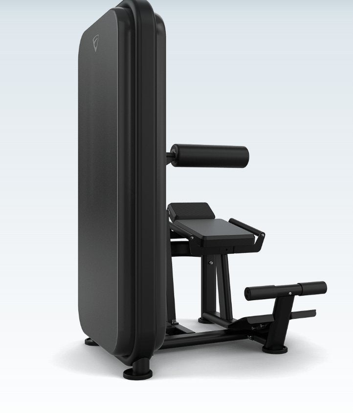 Vision VST600-S531 Ab / Low Back – Dual Core Strength Machine for Commercial Gyms | Fitness Specialist TX