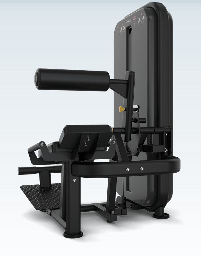Vision VST600-S531 Ab / Low Back – Dual Core Strength Machine for Commercial Gyms | Fitness Specialist TX